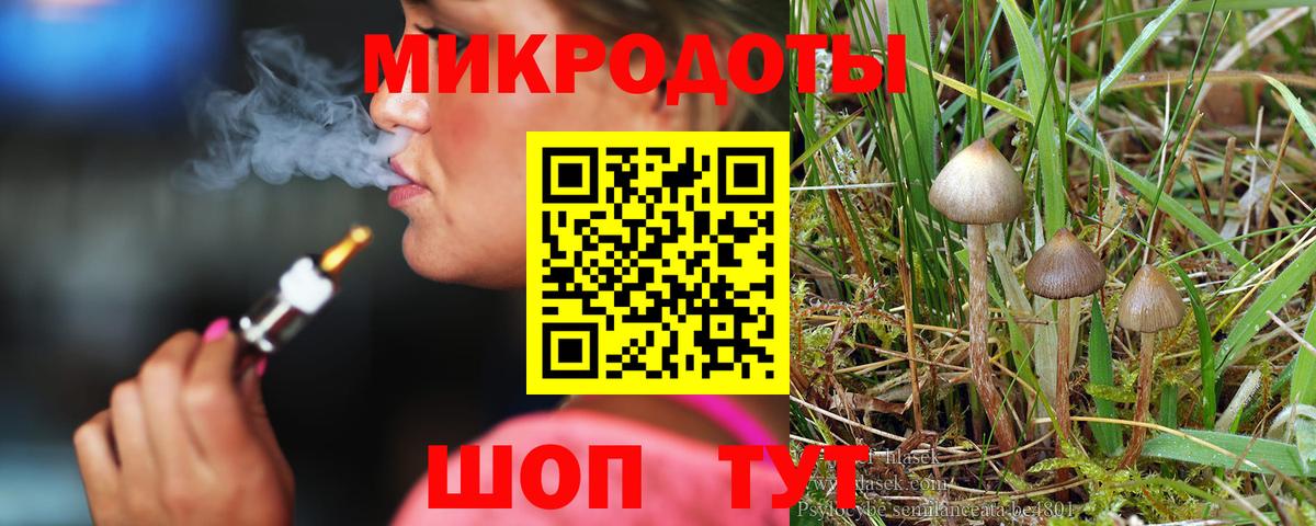наркошоп  Вход с VPN  Красногорск  Галлюциногенные грибы Psilocybine cubensis 